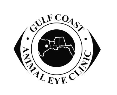 Usually has completed a one year internship in small <b>animal</b> medicine and surgery. . Gulf coast animal eye clinic